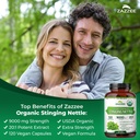 zazzee-usda-organic-stinging-nettle-201--4.jpg