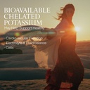 solaray-potassium-asporotate-chelated-su-4.jpg
