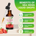 sea-moss-liquid-drops---2000mg-irish-sea-3.jpg