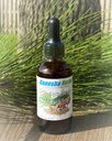 suramax-pine-needle-complex-formula-tinc-6.jpg