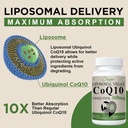 liposomal-coq10-800mg-ubiquinol-softgel--4.jpg