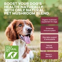 only-natural-pet-mushroom-blend-immune-s-6.jpg