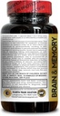 brain-memory-supplement---support-focus--3.jpg