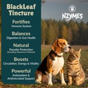 blackleaf-tincture-for-pets---2-pack-2.jpg