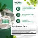 amla-powder-green-tea-superfood-suppleme-2.jpg