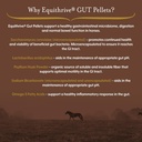 equithrive-horse-gut-pellets-with-probio-2.jpg