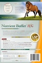 hg---equine-hind-gut-lower-gastric-diges-2.jpg