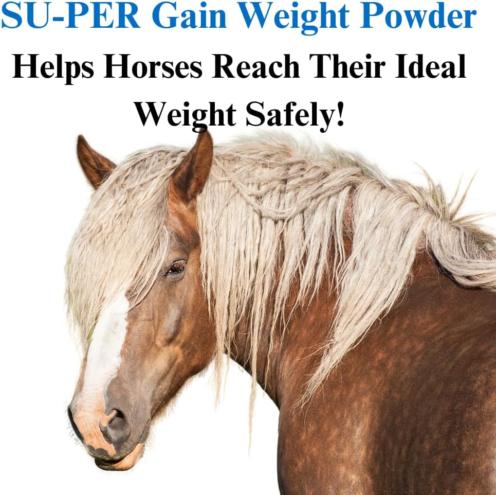 su-per-gain-weight-for-horses---equine-s-3.jpg