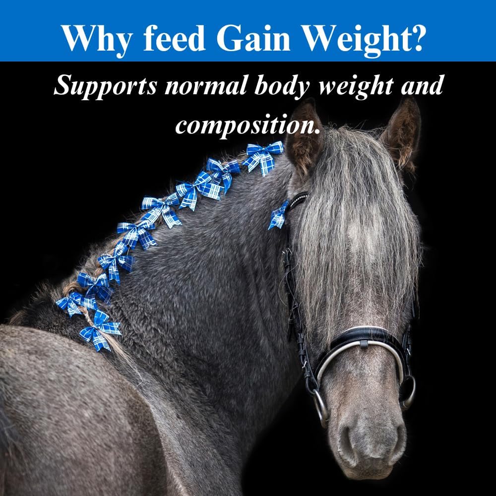su-per-gain-weight-for-horses---equine-s-5.jpg