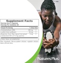 natures-plus-pro-dim-200-mg---60-capsule-4.jpg