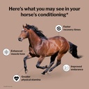 formula-707-musclemx-equine-supplement-1-3.jpg