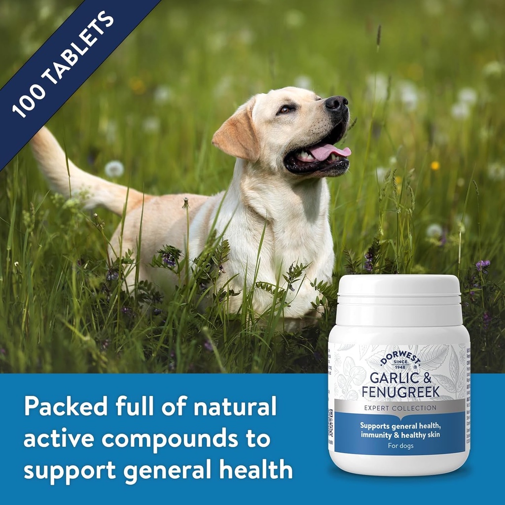 garlic-and-fenugreek-tablets-for-dogs-an-5.jpg