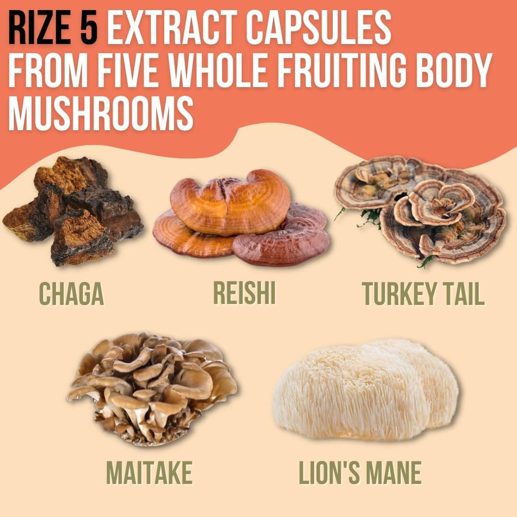 rize-5-mushroom-supplement---lions-mane--6.jpg