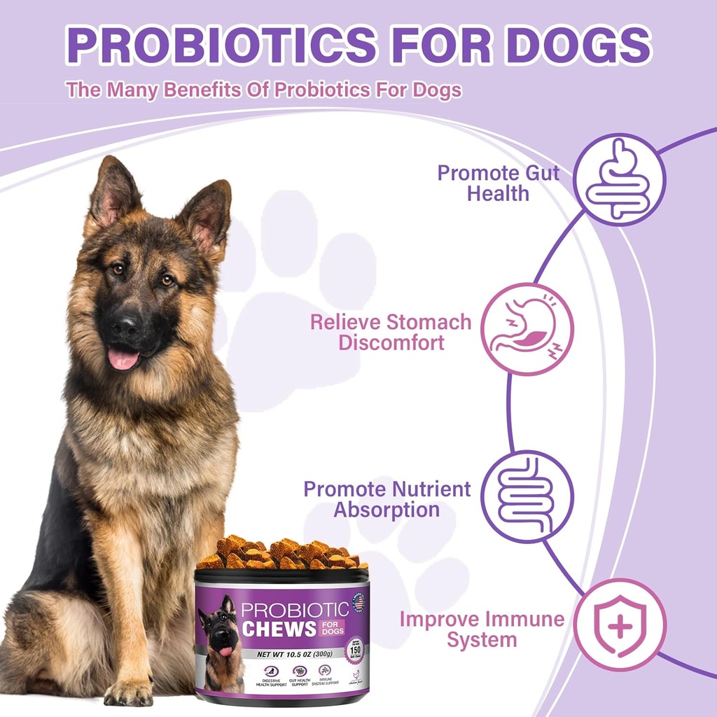 probiotics-for-dogs-dog-probiotic-chews--2.jpg