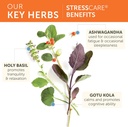 himalaya-stresscare-30-day-supply---herb-3.jpg
