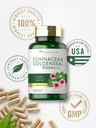 carlyle-echinacea-goldenseal-capsules-11-6.jpg