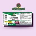 natures-answer-echinacea-extract-support-2.jpg