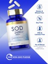 carlyle-sod-supplement-capsules-300mg-12-4.jpg
