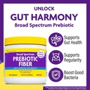 innovixlabs-prebiotic-fiber-powder-for-g-2.jpg
