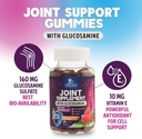 joint-support-gummies-glucosamine-plus-v-3.jpg