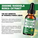 1-pack-2000mg-rhodiola-rosea-tincture----2.jpg
