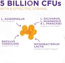 probiotic-gummies-5-billion-cfu---divers-3.jpg