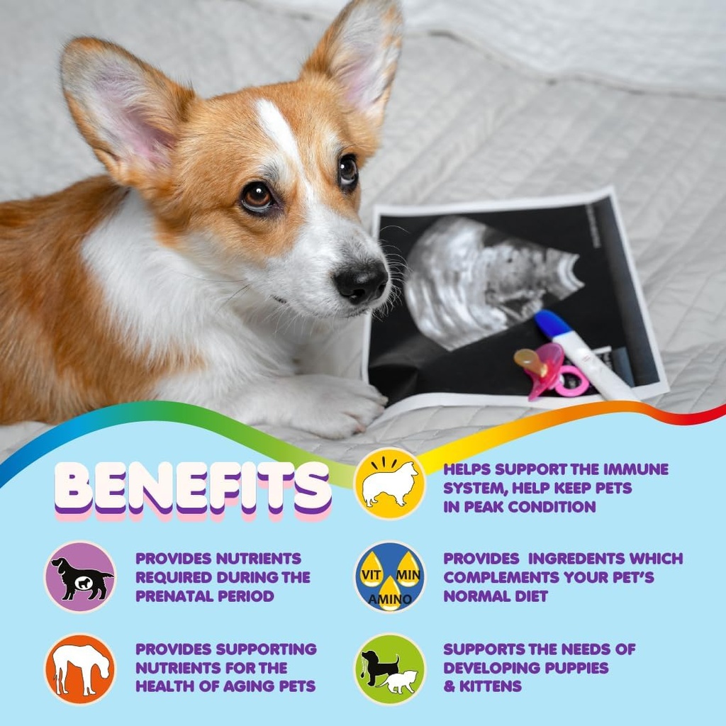 dog-prenatal-vitamins-multivitamin-folic-4.jpg