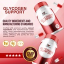 2-pack---glycogen-support-glycogen-contr-4.jpg