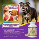 dog-prenatal-vitamins-multivitamin-folic-6.jpg