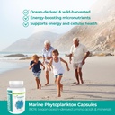 vegan-life-nutrition---marine-phytoplank-2.jpg
