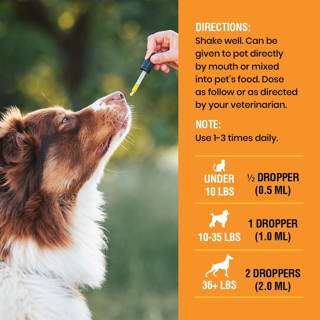 10-in-1-liquid-multivitamin-for-dogs-and-6.jpg