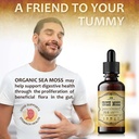 irish-sea-moss-raw-organic-drops-natural-3.jpg