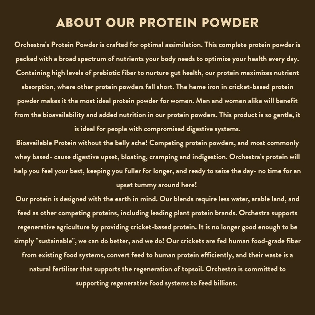 chocolate-cricket-and-pea-protein-powder-5.jpg