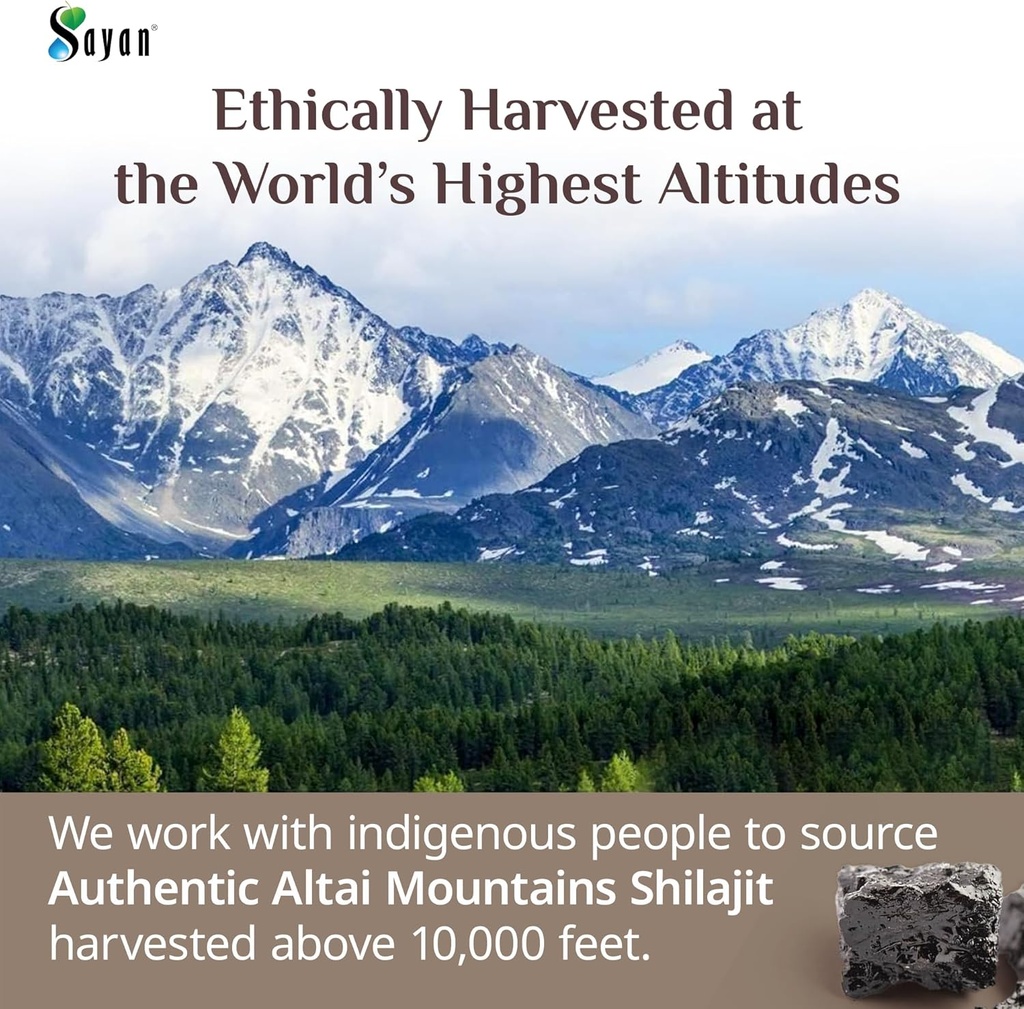 sayan-pure-shilajit-resin-35oz100g-660-s-3.jpg