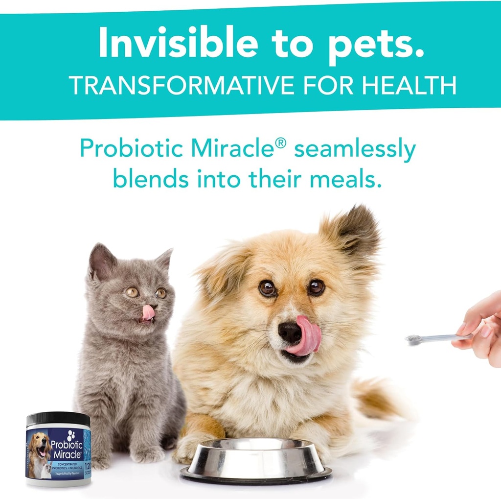nusentia-probiotics-for-dogs--360-scoops-5.jpg