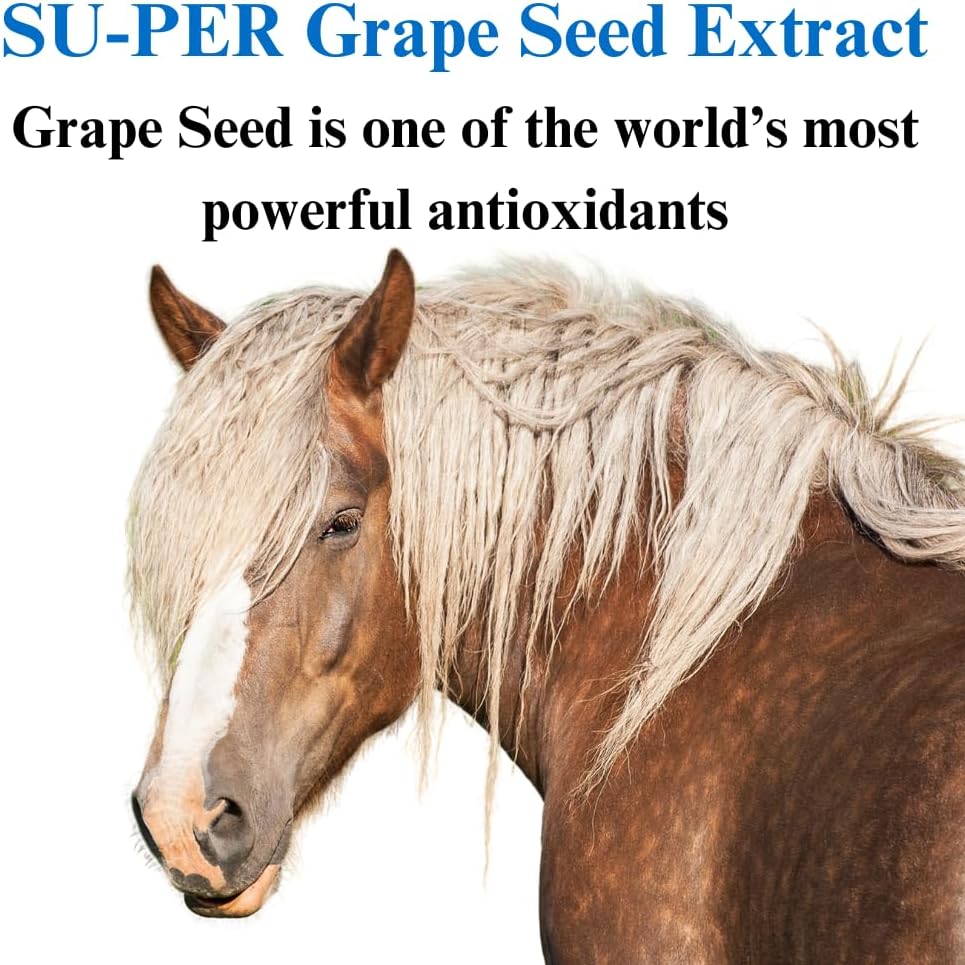 su-per-grape-seed-extract-horse-antioxid-3.jpg