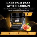granite-nutrition-gigabrain-nootropic-en-5.jpg