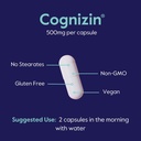 bestvite-cognizin-citicoline-500mg-120-v-5.jpg