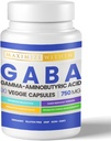 maximum-slim-gaba-gamma-aminobutyric-aci-4.jpg