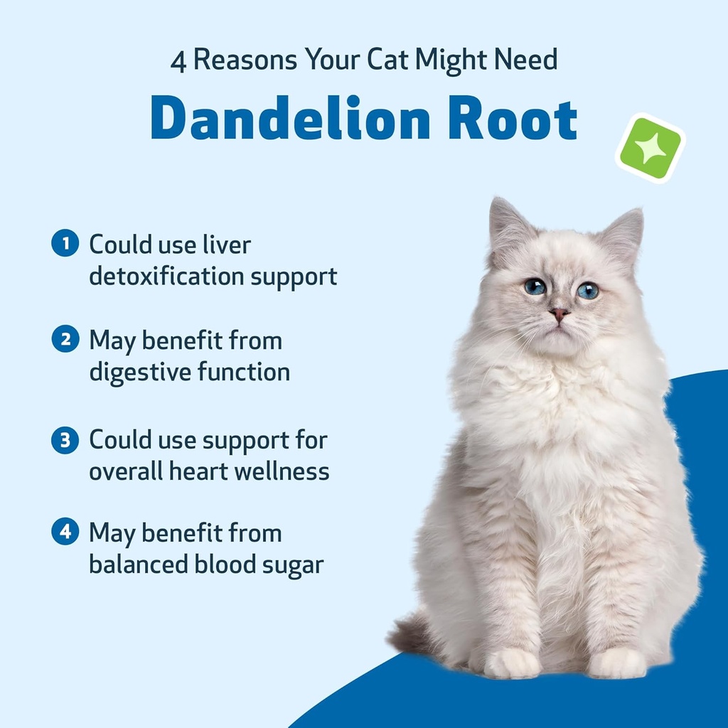 pet-wellbeing-dandelion-root-for-cats----2.jpg