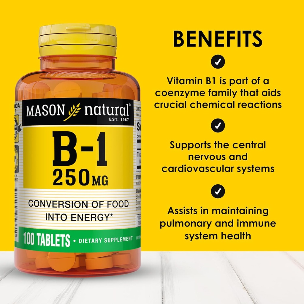 mason-natural-vitamin-b1-thiamine-250-mg-2.jpg
