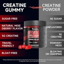 creatine-monohydrate-gummies-for-men-wom-4.jpg