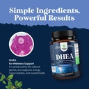 dhea-supplement-for-women-men---pure-dhe-5.jpg