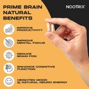 nootrix-prime-brain-nootropic-supplement-4.jpg