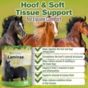 silver-lining-herbs-laminae-support-hors-2.jpg