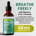 5-in-1-mullein-drops-for-lungs-and-bronc-2.jpg
