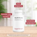 supersmart---glucofit-53mg-per-day-paten-3.jpg