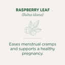traditional-medicinals-tea-organic-raspb-4.jpg