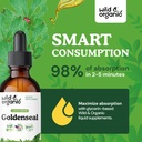 wild-organic-goldenseal-root-tincture----4.jpg