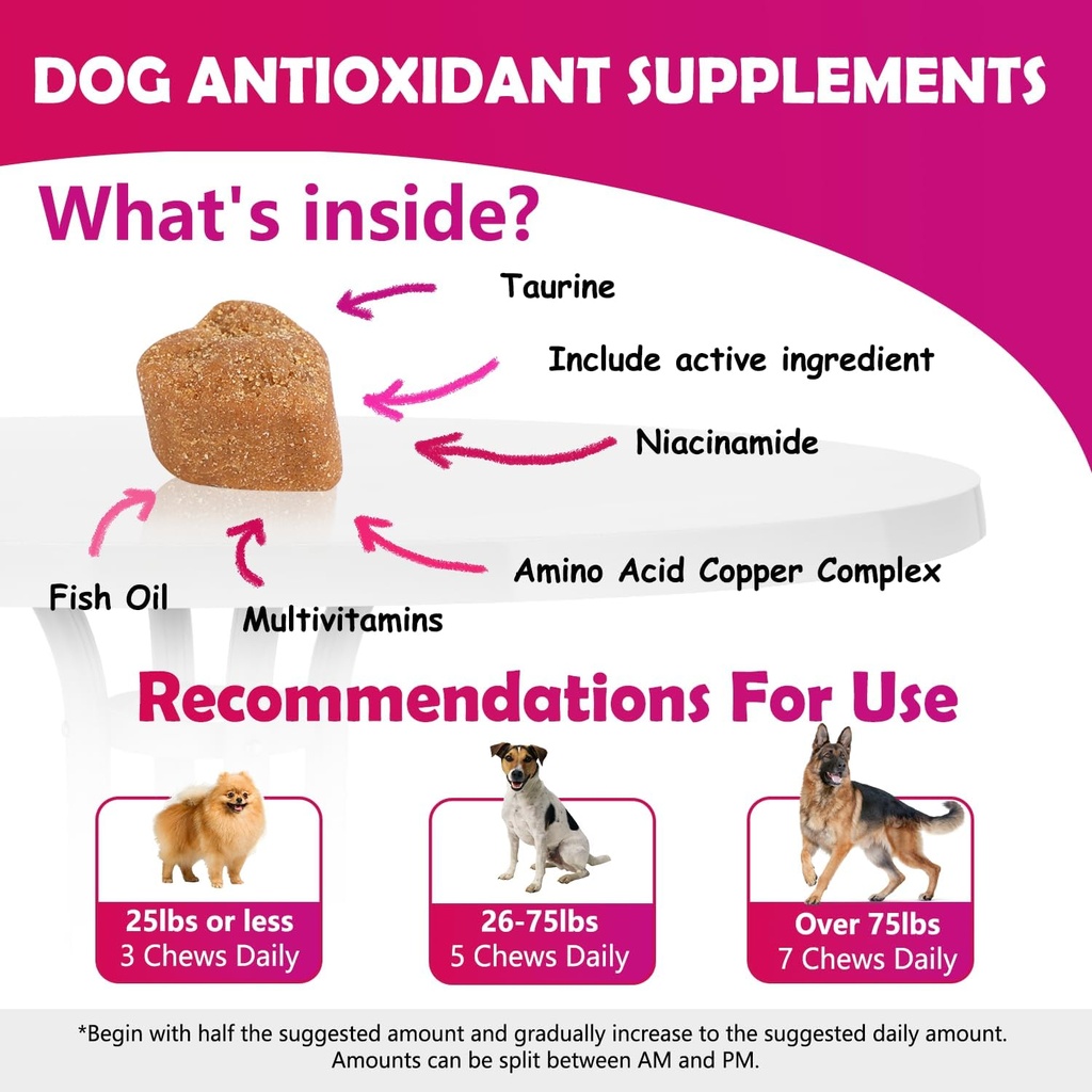 cranberry-bladder-health-for-dogs---dog--3.jpg